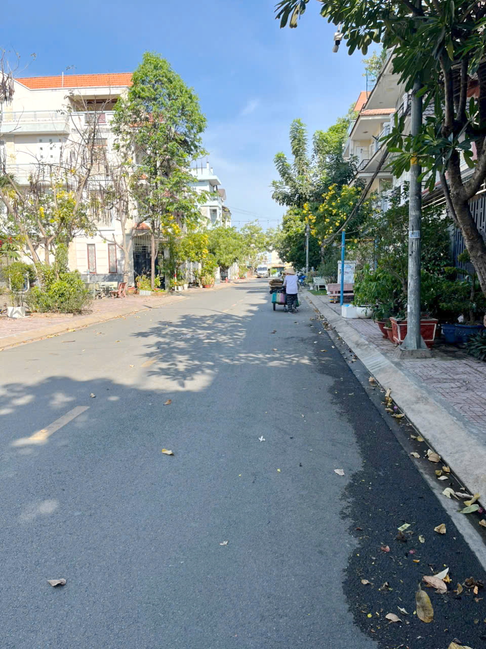 Bán biệt thự KDC Cao Lỗ P4 Q8 ,Giá: 16 Tỷ 600 Triệu - Ảnh 2