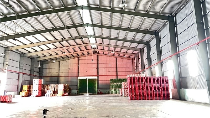 XT063 Nhà xưởng dựng hoàn thiện, khung thép kiên cố trống xưởng bàn giao liền - Ảnh chính