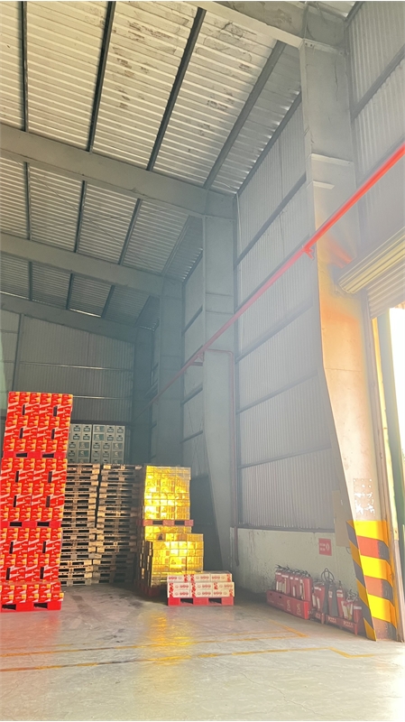 XT063 Nhà xưởng dựng hoàn thiện, khung thép kiên cố trống xưởng bàn giao liền - Ảnh 2