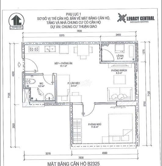 Cần bán gấp căn hộ Legacy Prime - Chủ đi định cư Canada Tại phường Thuận Giao, Tp.HCM - Ảnh 3