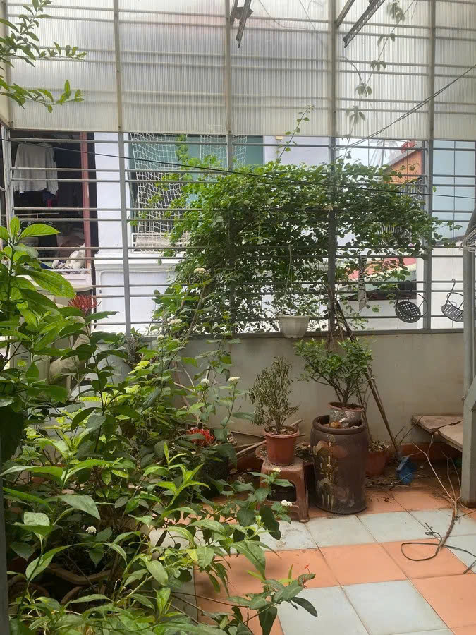 Bán Nhà Đào Tấn 42m2. 4tầng. mặt tiền 3.4m. giá 9.8 tỷ Ba Đình Hà Nội - Ảnh 4