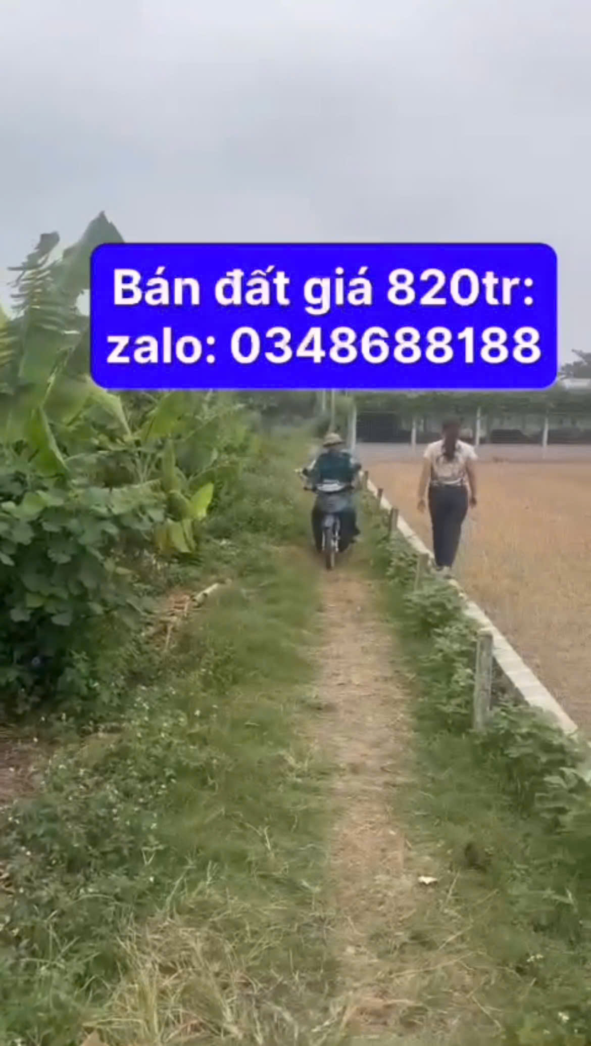 SỞ HỮU NGAY ĐẤT ĐẸP - GIÁ TỐT - Vị Trí Đắc Địa Tại Thôn La Ngạn 1, Xã Yên Đồng, Huyện Ý Yên, Tỉnh - Ảnh chính