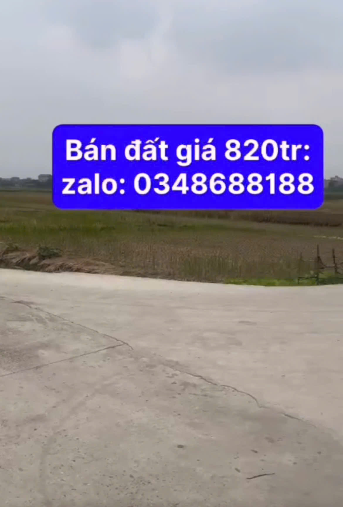 SỞ HỮU NGAY ĐẤT ĐẸP - GIÁ TỐT - Vị Trí Đắc Địa Tại Thôn La Ngạn 1, Xã Yên Đồng, Huyện Ý Yên, Tỉnh - Ảnh 2