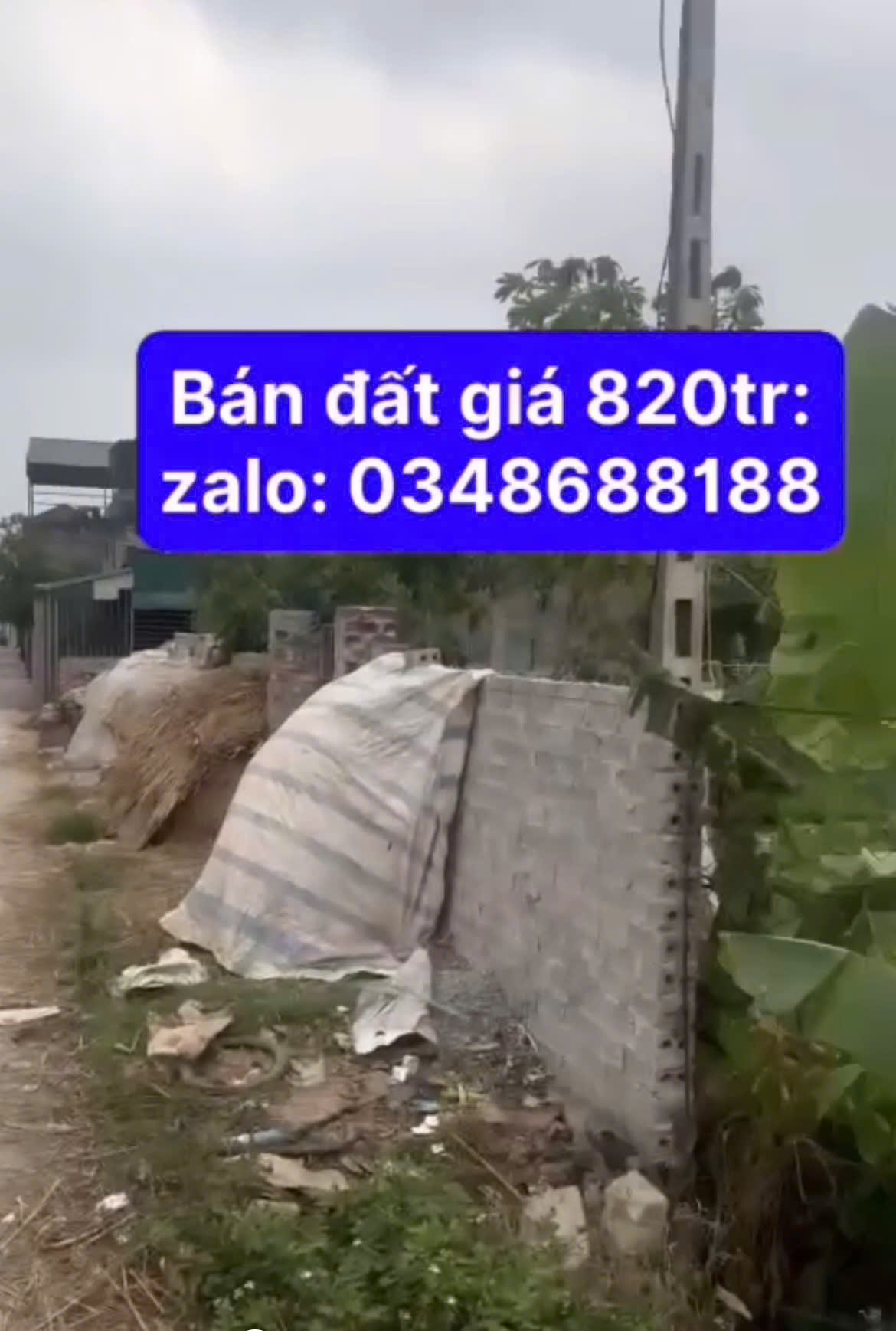 SỞ HỮU NGAY ĐẤT ĐẸP - GIÁ TỐT - Vị Trí Đắc Địa Tại Thôn La Ngạn 1, Xã Yên Đồng, Huyện Ý Yên, Tỉnh - Ảnh 3