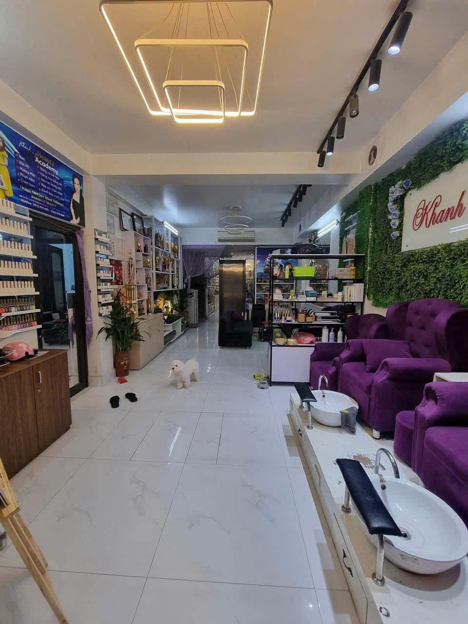NGUYỄN KHANG 6,5 TẦNG THANG MÁY KINH DOANH SPA 52m mặt tiền 4m Giá 11.7 tỷ - Ảnh 4