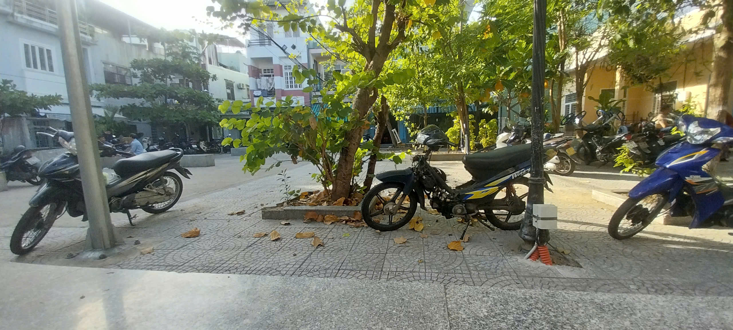 ♪ Nhà Hoàng Diệu, View Công Viên, Kiệt 3.5m thông 72m2, 2 tầng cứng cáp, 3.x tỷ - Ảnh 3