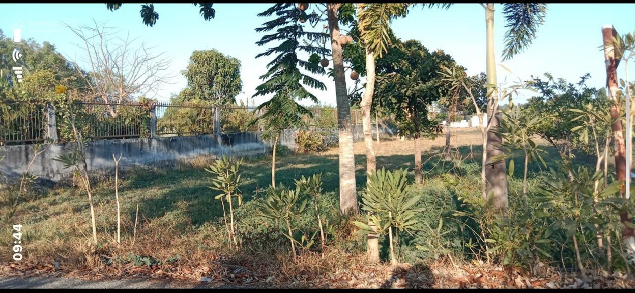 ► CHÍNH CHỦ CẦN BÁN LÔ ĐẤT 1.000M² MẶT TIỀN ĐƯỜNG NHỰA – XÃ HƯNG LONG, BÌNH CHÁNH - Ảnh 1