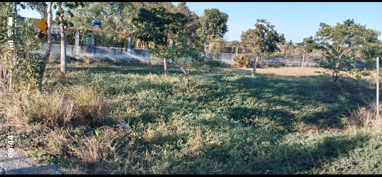 ► CHÍNH CHỦ CẦN BÁN LÔ ĐẤT 1.000M² MẶT TIỀN ĐƯỜNG NHỰA – XÃ HƯNG LONG, BÌNH CHÁNH - Ảnh 3