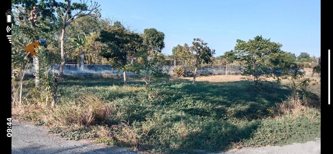 ► CHÍNH CHỦ CẦN BÁN LÔ ĐẤT 1.000M² MẶT TIỀN ĐƯỜNG NHỰA – XÃ HƯNG LONG, BÌNH CHÁNH - Ảnh 2