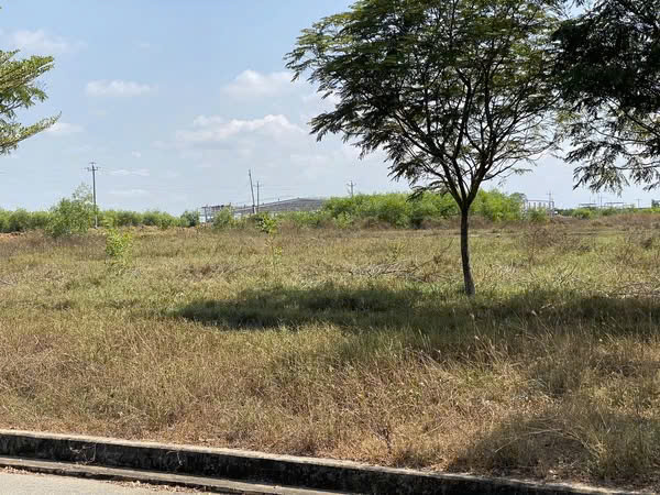 ĐẤT ĐẸP- GIÁ ĐẦU TƯ  - CẦN BÁN LÔ ĐẤT KCN Hàm Kiệm 1, Hàm Kiệm - Hàm Mỹ, Hàm Thuận Nam, Bình Thuận - Ảnh 2
