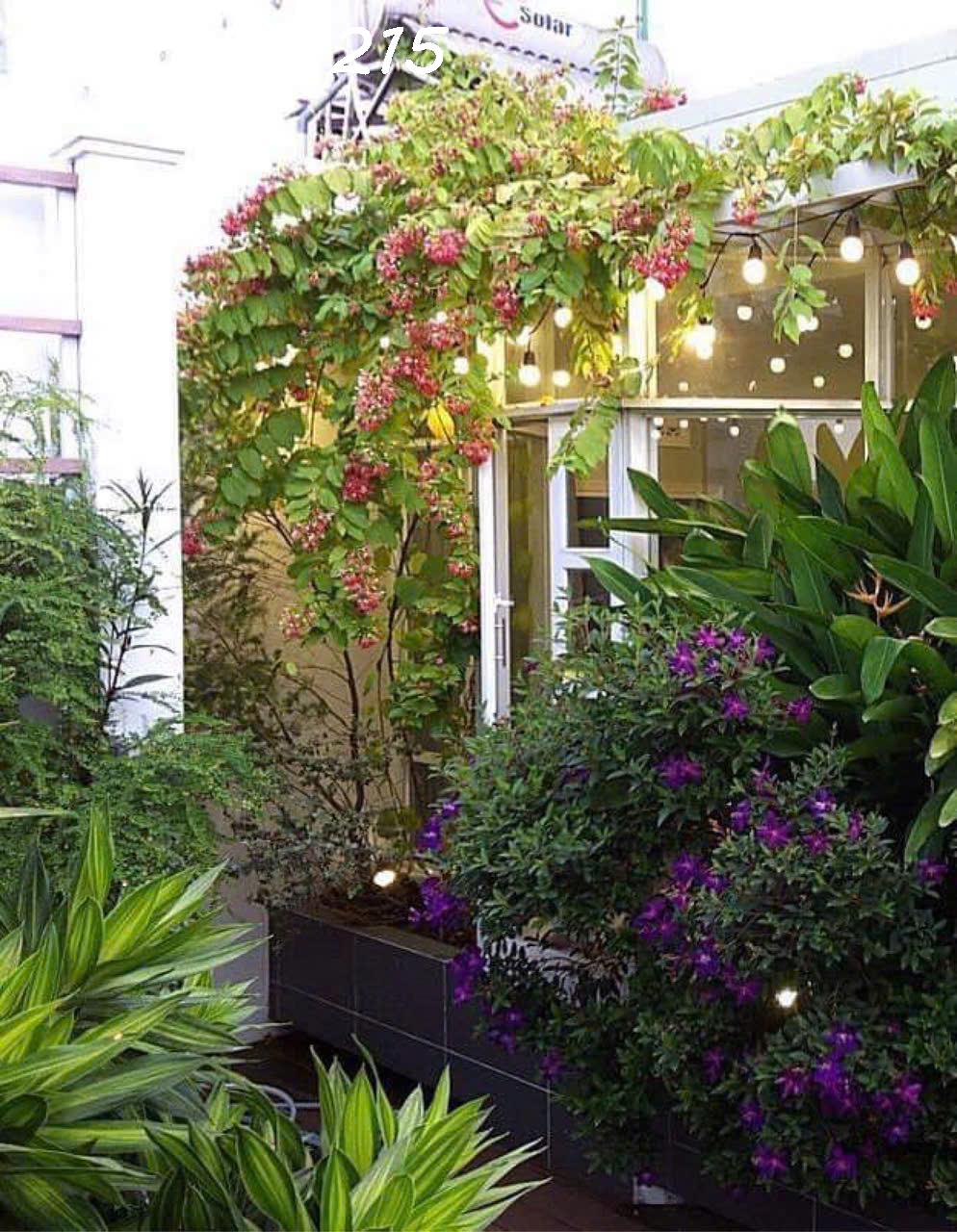 BÁN NHÀ MẶT TIỀN NGUYỄN ĐÌNH CHIỂU, P.5, QUẬN 3 – NGANG 3.8M, DÀI 24M – GIÁ CHỐT CỰC TỐT - Ảnh 3
