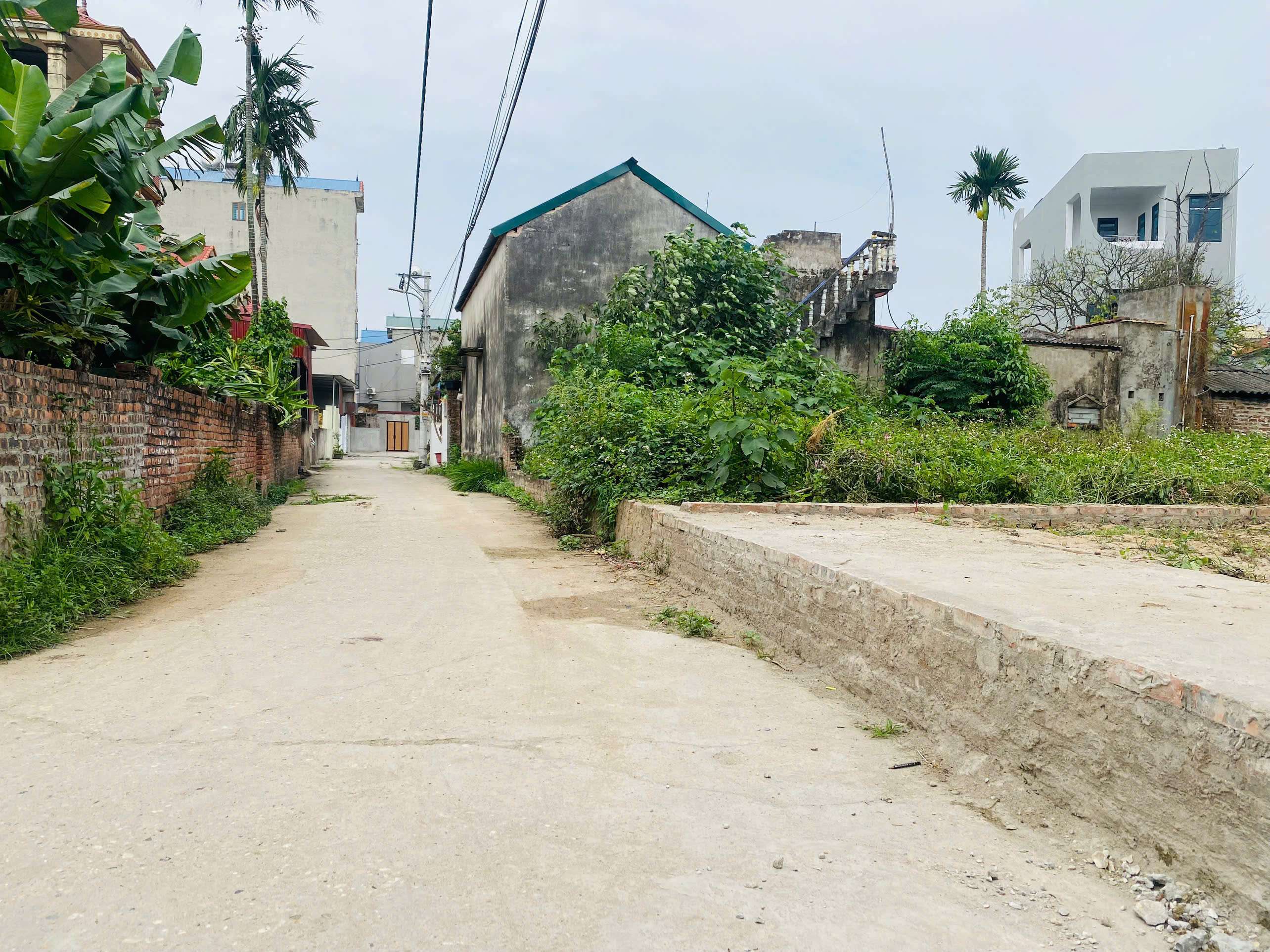 BÁN LÔ ĐẤT 100M,MT 4,3M,FULL TC,LH E QUANG CHÍNH CHỦ,GIÁ ĐẦU TƯ,F0 - Ảnh 3