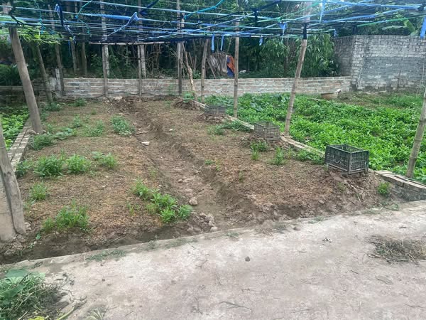 CHÍNH CHỦ GỬI BÁN – DUY NHẤT 1 LÔ 42 M ĐẤT ĐẸP TẠI TÍCH GIANG – PHÚC THỌ – HÀ NỘI - Ảnh 1