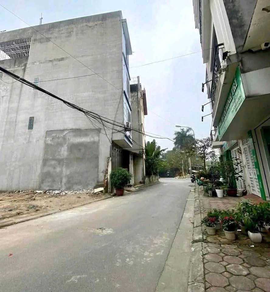 Bán Đất Ngọc Thụy, Gần Khai Sơn, 50m2, MT4.5m, Ô Tô, Phân Lô, Nhỉnh 9 Tỷ - Ảnh 2