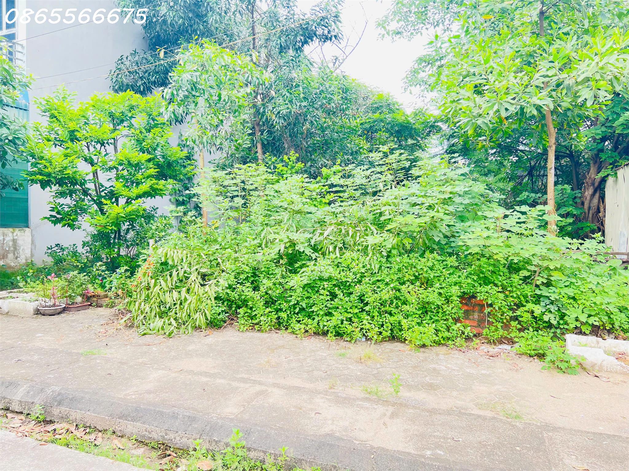 Bán lô đất 90m view hồ Đồng Đầm - Việt Trì. LH 0865566675 - Ảnh 2