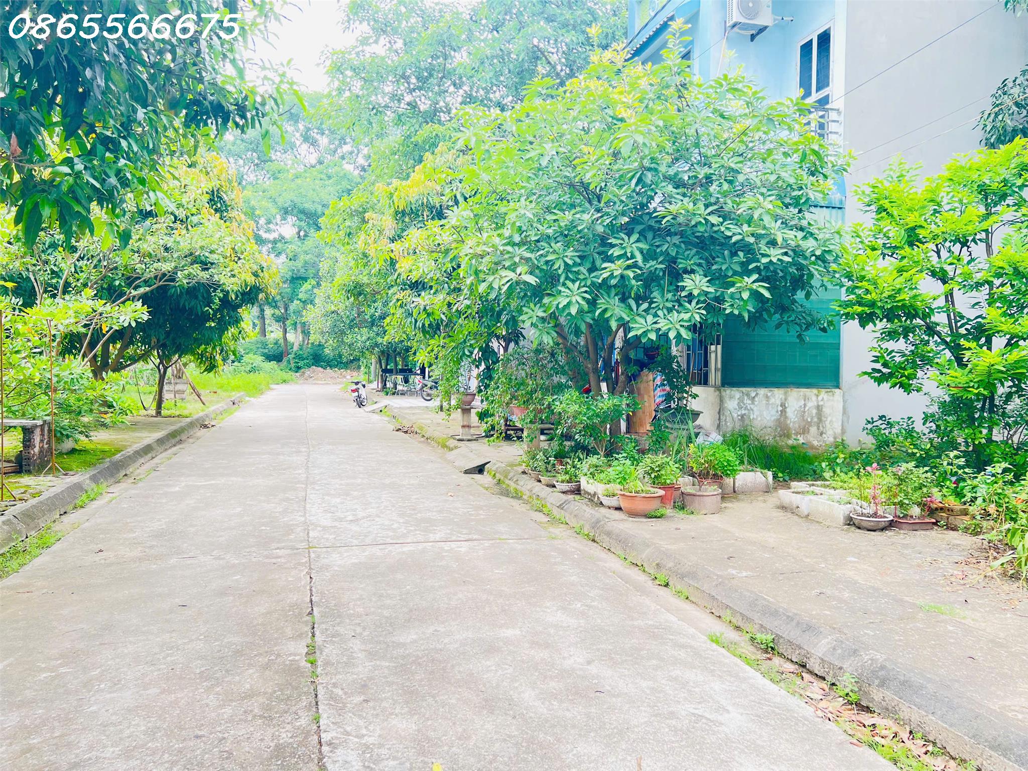 Bán lô đất 90m view hồ Đồng Đầm - Việt Trì. LH 0865566675 - Ảnh 4
