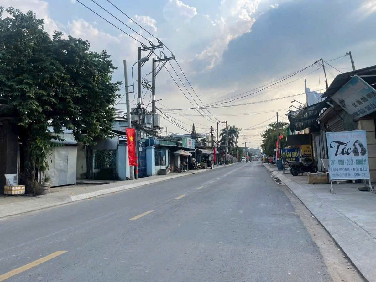 BIỆT THỰ SIÊU VIP (10x25) MT TRẦN VĂN MƯỜI, NHỰA THÔNG, SÂN XE HƠI RỘNG - Ảnh 3