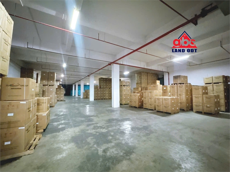 XT380 Cho thuê nhà xưởng sản xuất, thiết kế xưởng kiên cố an toàn ổn định SX lâu dài - Ảnh 1
