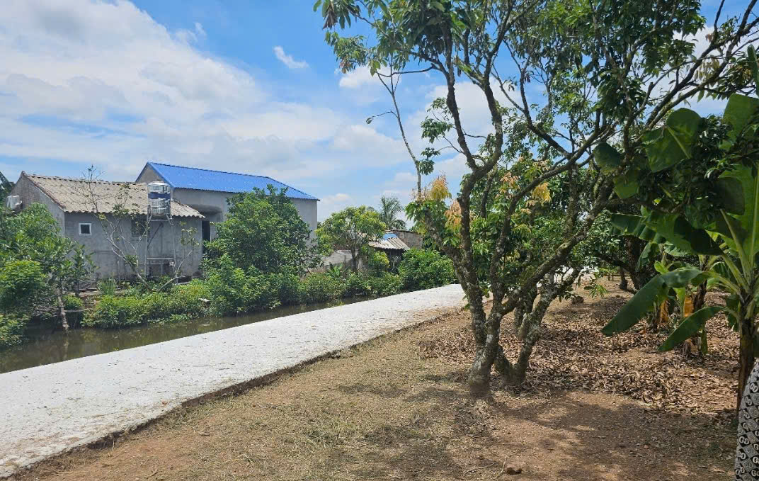 Bán đất tại Thanh Hồng, Thanh Hà, Hải Dương. Cạnh đường cao tốc Hà Nội - Hải Phòng - Ảnh chính