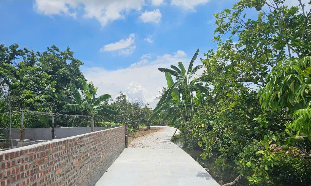 Bán đất tại Thanh Hồng, Thanh Hà, Hải Dương. Cạnh đường cao tốc Hà Nội - Hải Phòng - Ảnh 1