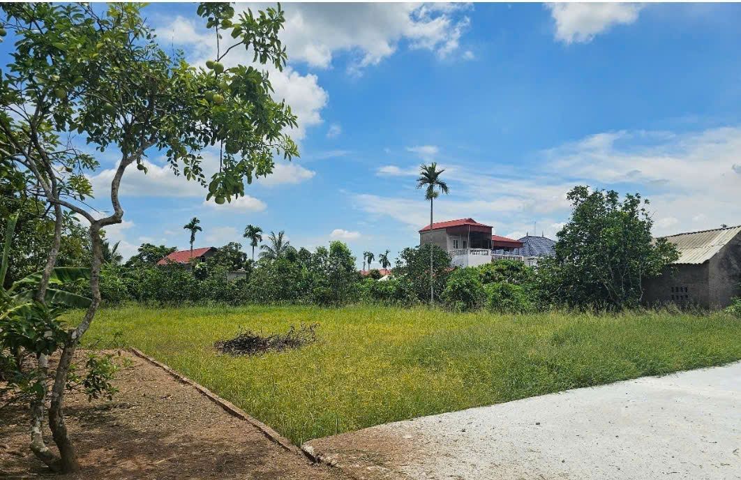Bán đất tại Thanh Hồng, Thanh Hà, Hải Dương. Cạnh đường cao tốc Hà Nội - Hải Phòng - Ảnh 2