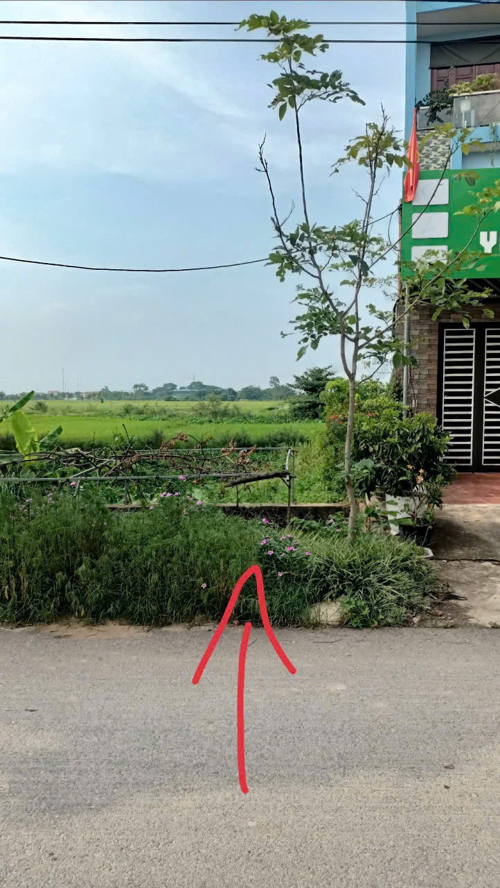 ĐẤT ĐẸP- GIÁ ĐẦU TƯ - Chính Chủ CẦN BÁN LÔ ĐẤT MẶT ĐƯỜNG VỊ TRÍ ĐẸP tại Quế Võ, Bắc Ninh - Ảnh 1