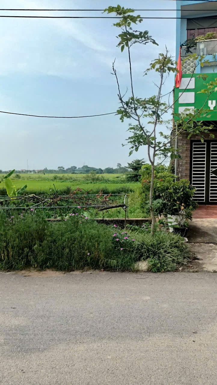 ĐẤT ĐẸP- GIÁ ĐẦU TƯ - Chính Chủ CẦN BÁN LÔ ĐẤT MẶT ĐƯỜNG VỊ TRÍ ĐẸP tại Quế Võ, Bắc Ninh - Ảnh 3
