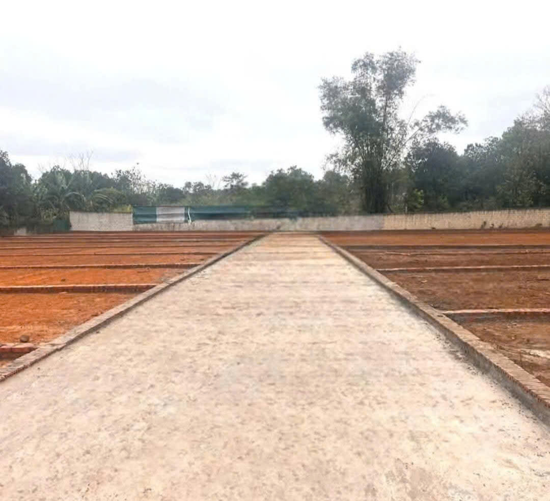 SỐC-BÁN ĐẤT CẨM LĨNH, BA VÌ, HÀ NỘI-106M-FULL THỔ CƯ- KHU PHÂN LÔ-GIÁ CHỈ 790 TRIỆU - Ảnh 1