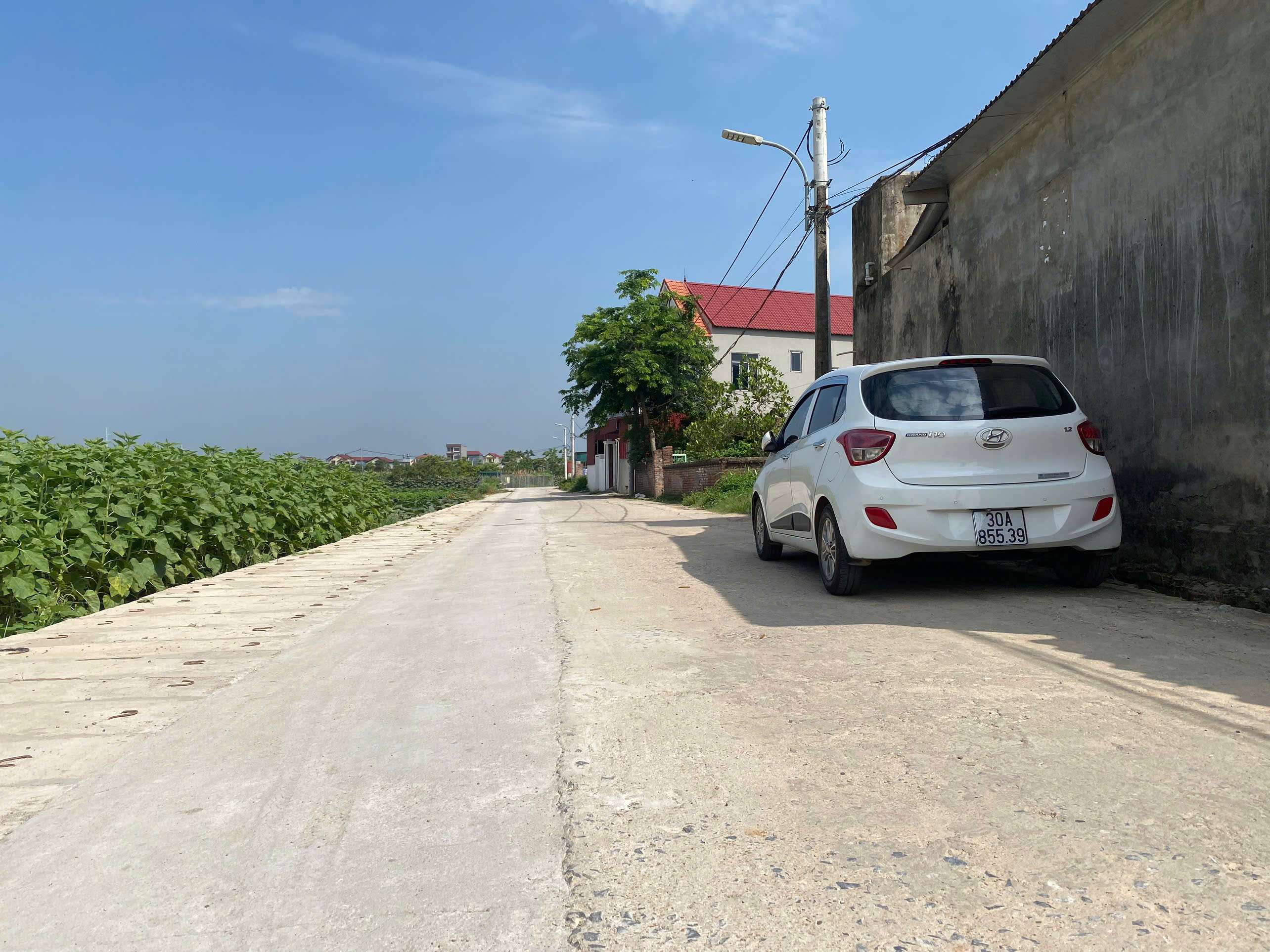 CC EM QUANG BÁN 4 LÔ BÌA LÀNG TT QUANG MINH,GIÁ F0 ĐẦU TƯ,LH E QUANG XEM ĐẤT - Ảnh 1