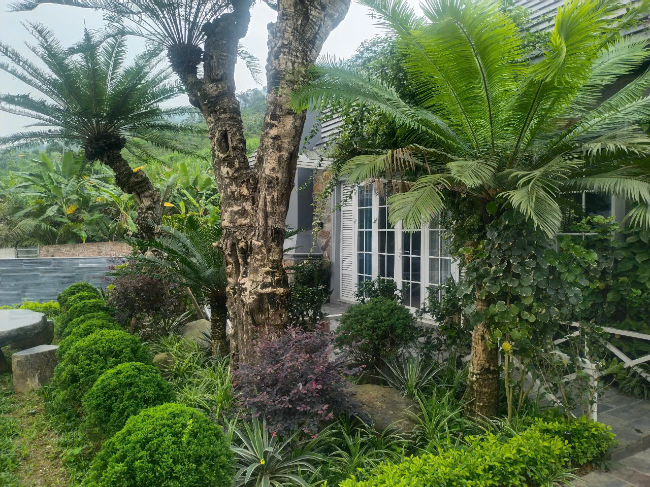 Bán biệt thự nhà vườn nghỉ dưỡng tại Phú Mãn, view suối đẹp - 516m2 - giá chỉ 8.5 tỷ - Ảnh 4