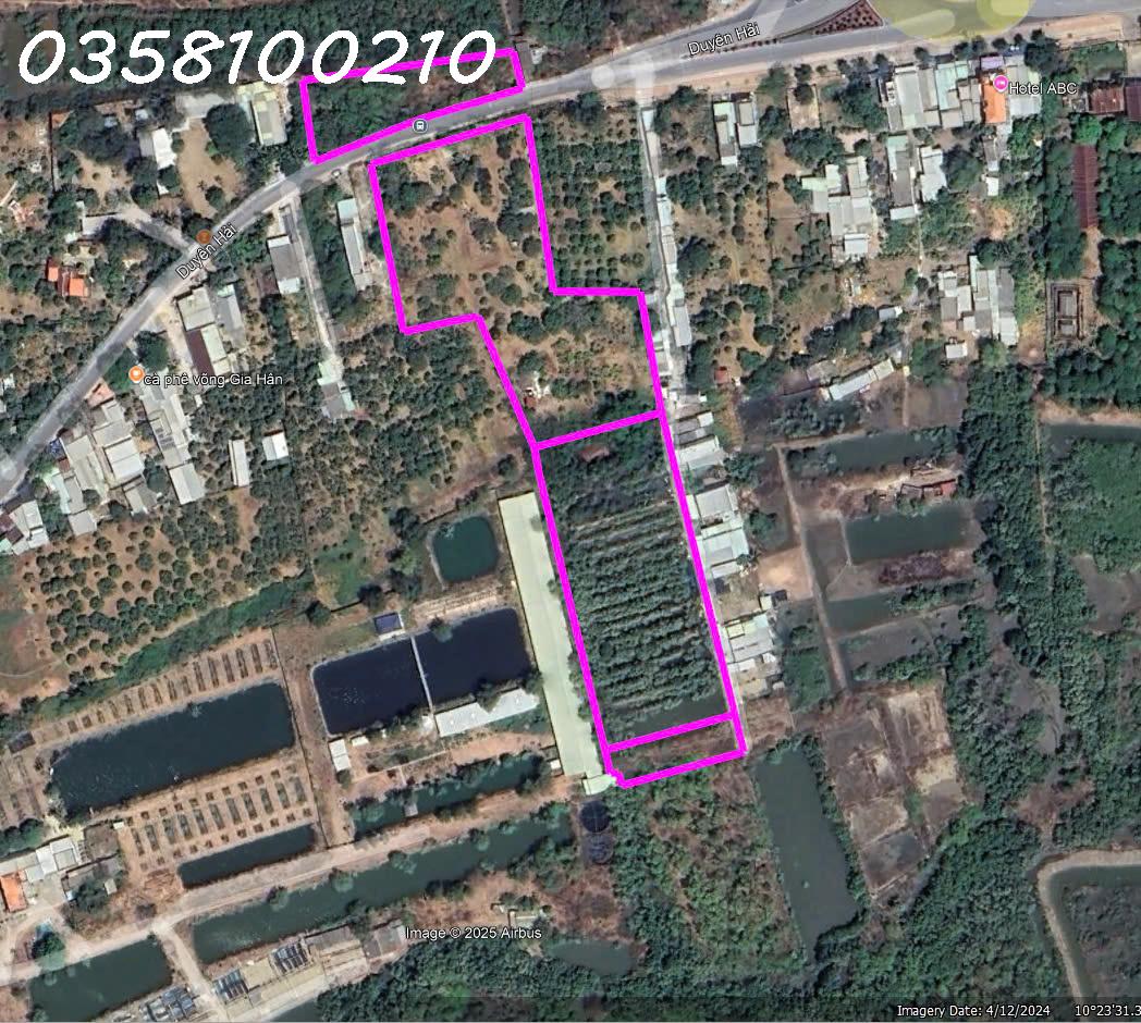 Bán đất mặt tiền đường Duyên Hải, xã Cần Giờ,TpHCM, DT 3 miếng đất 17.428,2 m2, Giá đầu tư - Ảnh chính