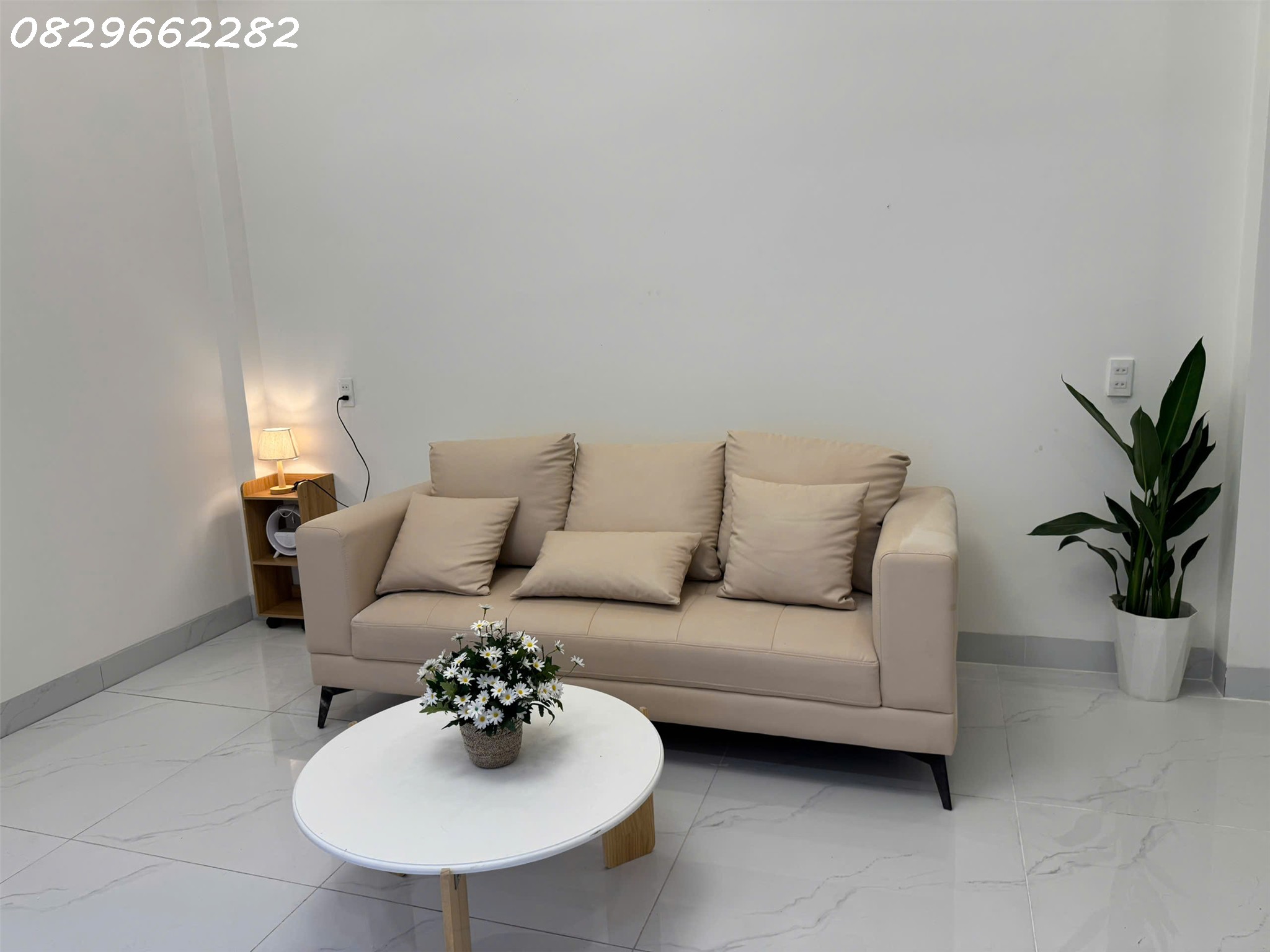Bán Nhà Mặt Phố Sa Đéc, 65m², 3 Tầng, 2.6 Tỷ, Sổ Hồng - Ảnh 2