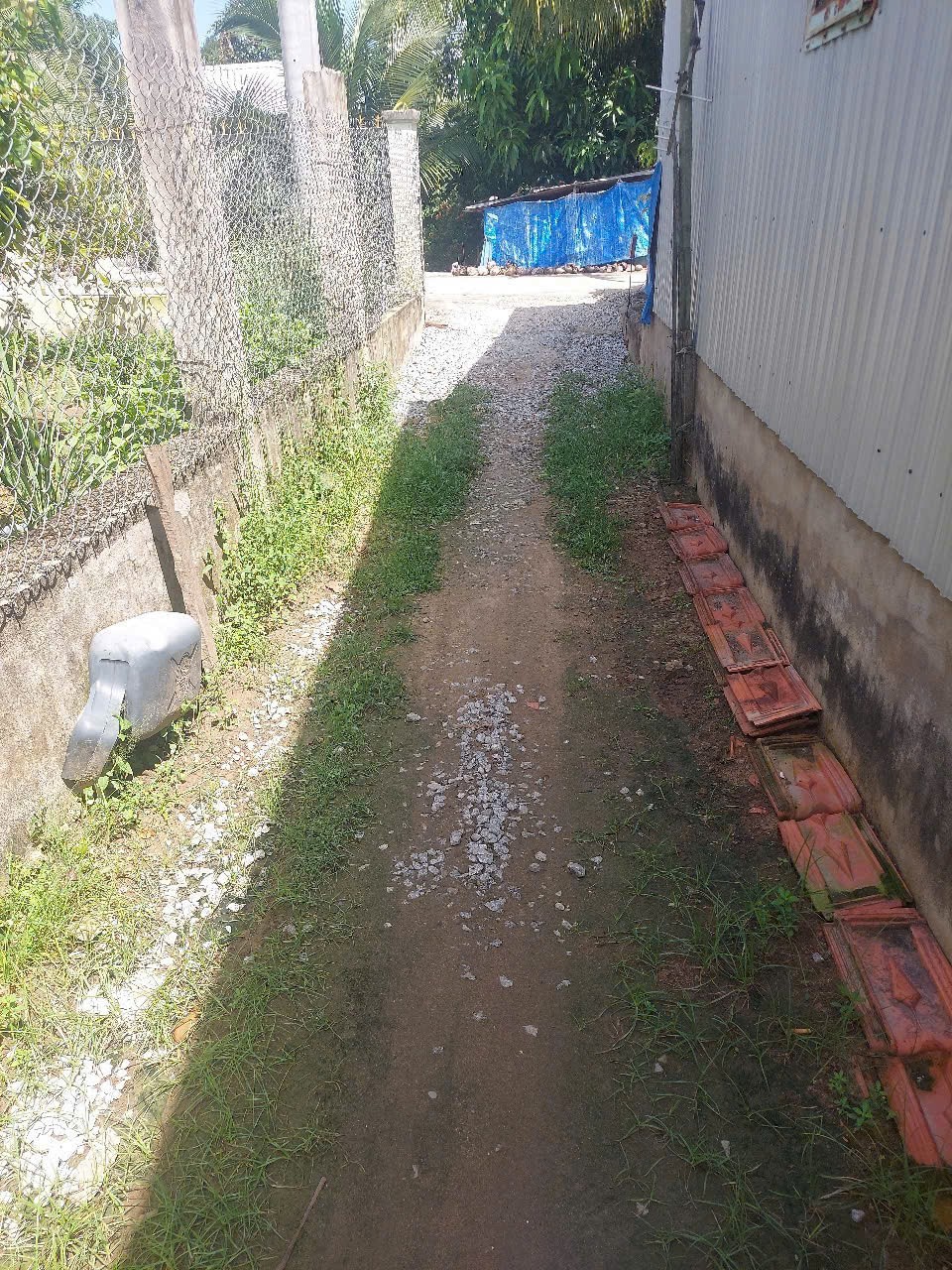 Nhà Chưa hoàn thiện Cần Bán Gấp Giá Rẻ - Cầu Kênh Xáng, Xã Hòa Bình, Huyện Chợ Mới, An Giang - Ảnh 4