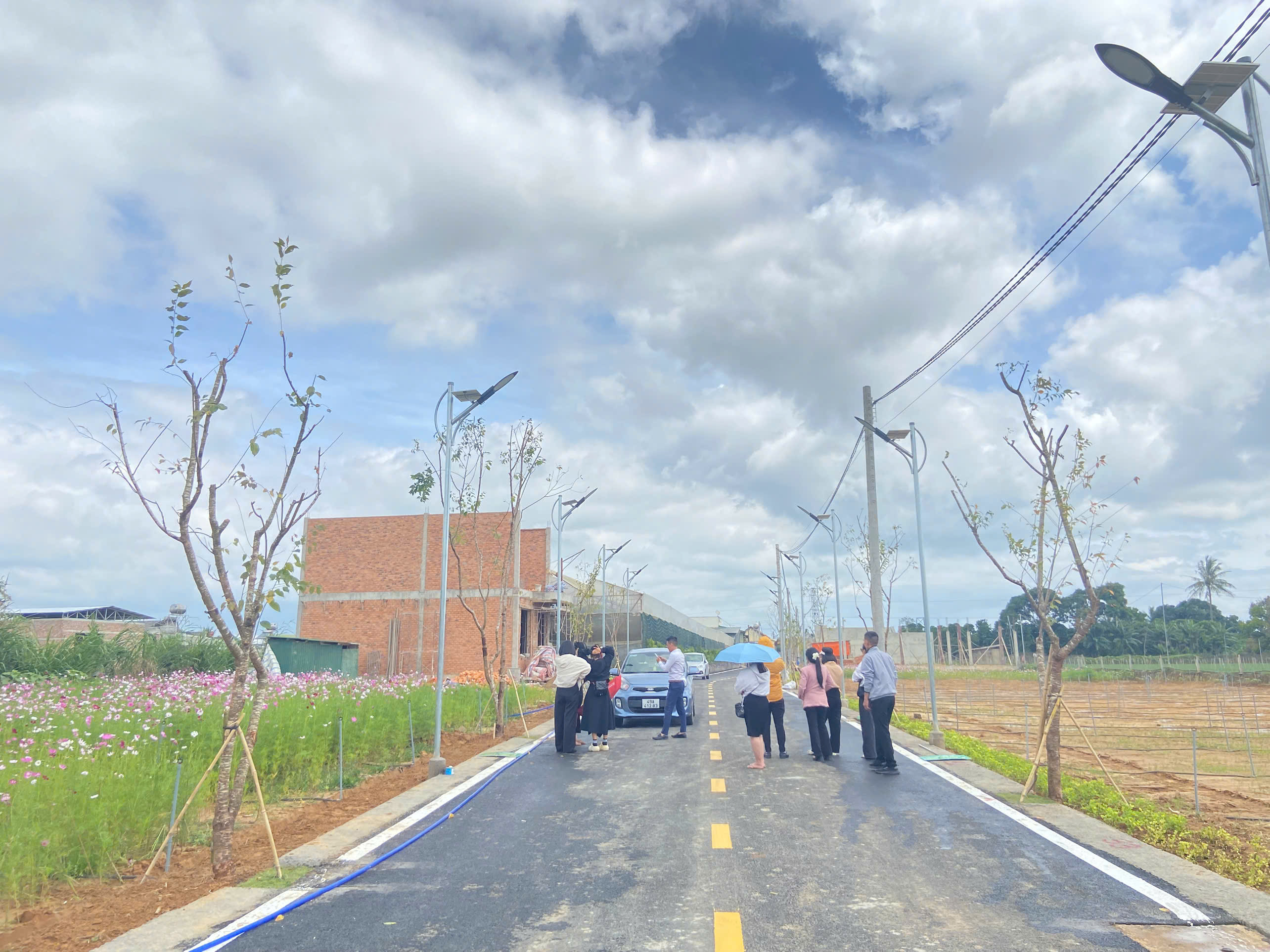 Bán đất Phú Hội Đức Trọng Lâm Đồng - Ảnh 1