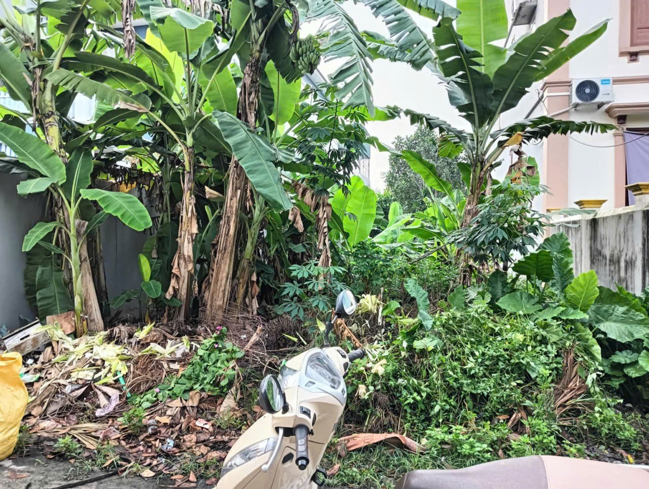 Chính Chủ CẦN TIỀN BÁN GẤP Lô Đất Đẹp Tại Bảo Thái - phường Tân Hưng -Thành Phố Hải Dương - Ảnh 1