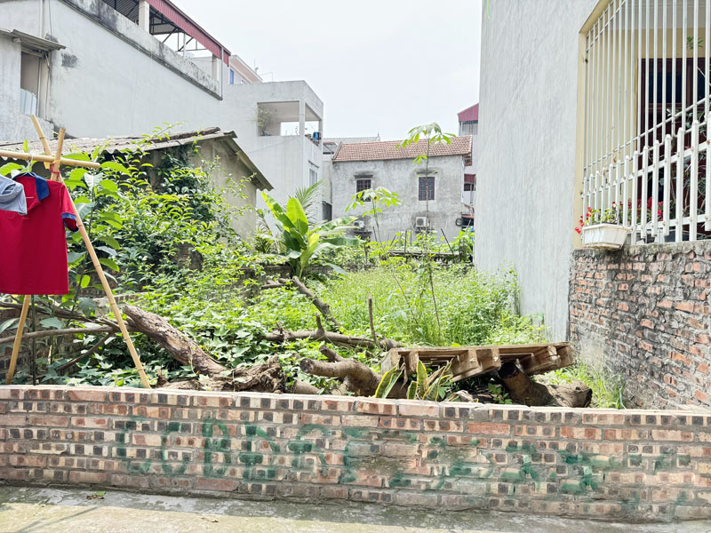 Bán đất Đông Dư, Bát Tràng - DT: 37,5m2 nở hậu, ô tô vào đất, sổ đỏ CC - Ảnh 3