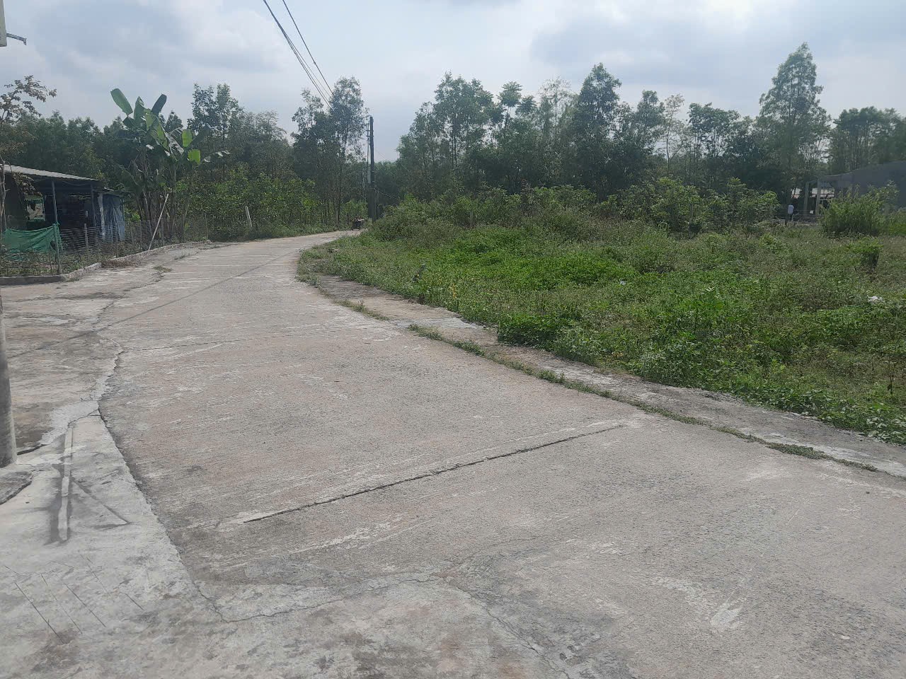 Chính Chủ CẦN BÁN Đất MT Đường Bê Tông Tại Thôn Khương Mỹ, Xã Hòa Phong, Hòa Vang, Đà Nẵng. - Ảnh chính