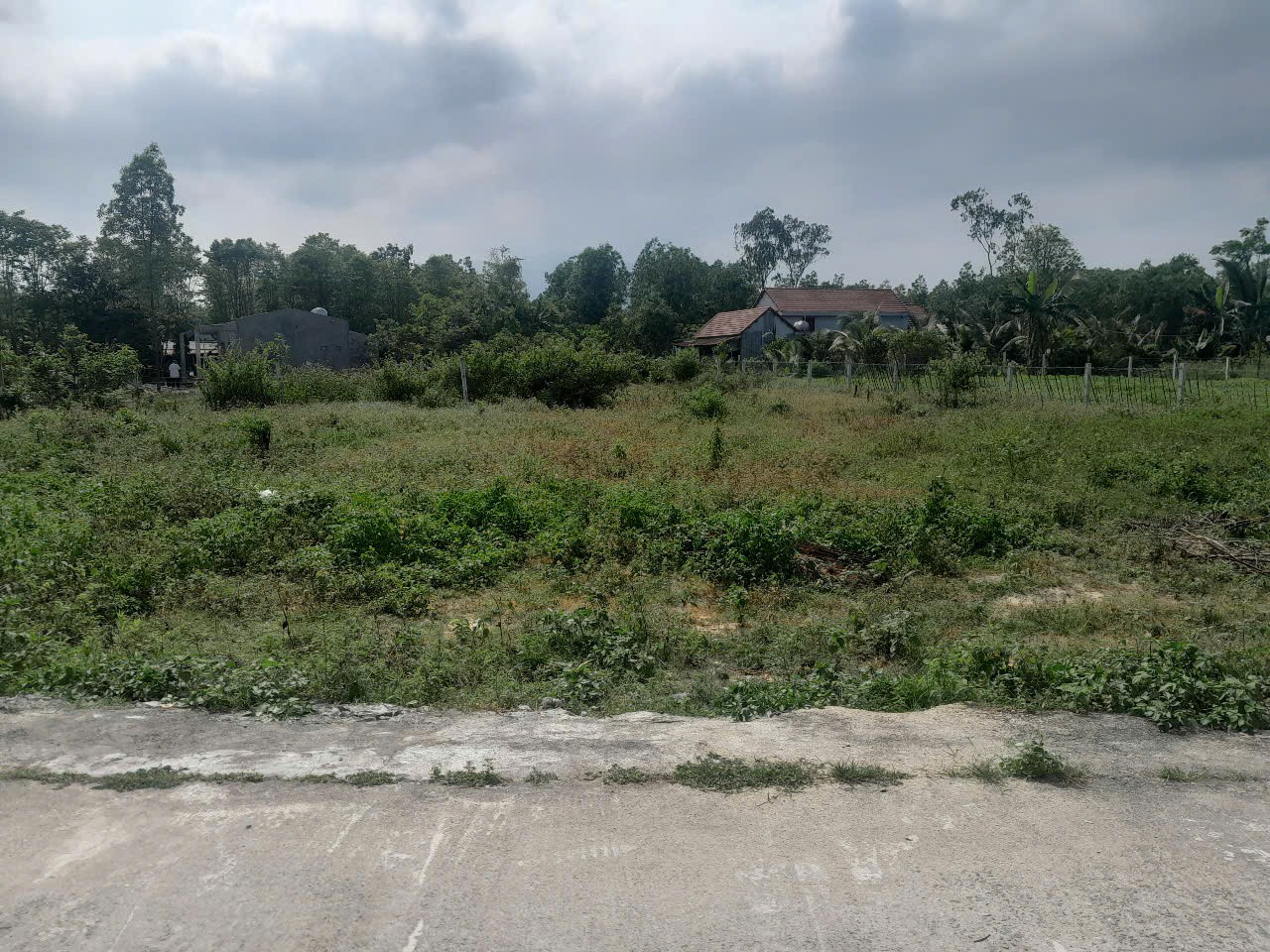 Chính Chủ CẦN BÁN Đất MT Đường Bê Tông Tại Thôn Khương Mỹ, Xã Hòa Phong, Hòa Vang, Đà Nẵng. - Ảnh 2