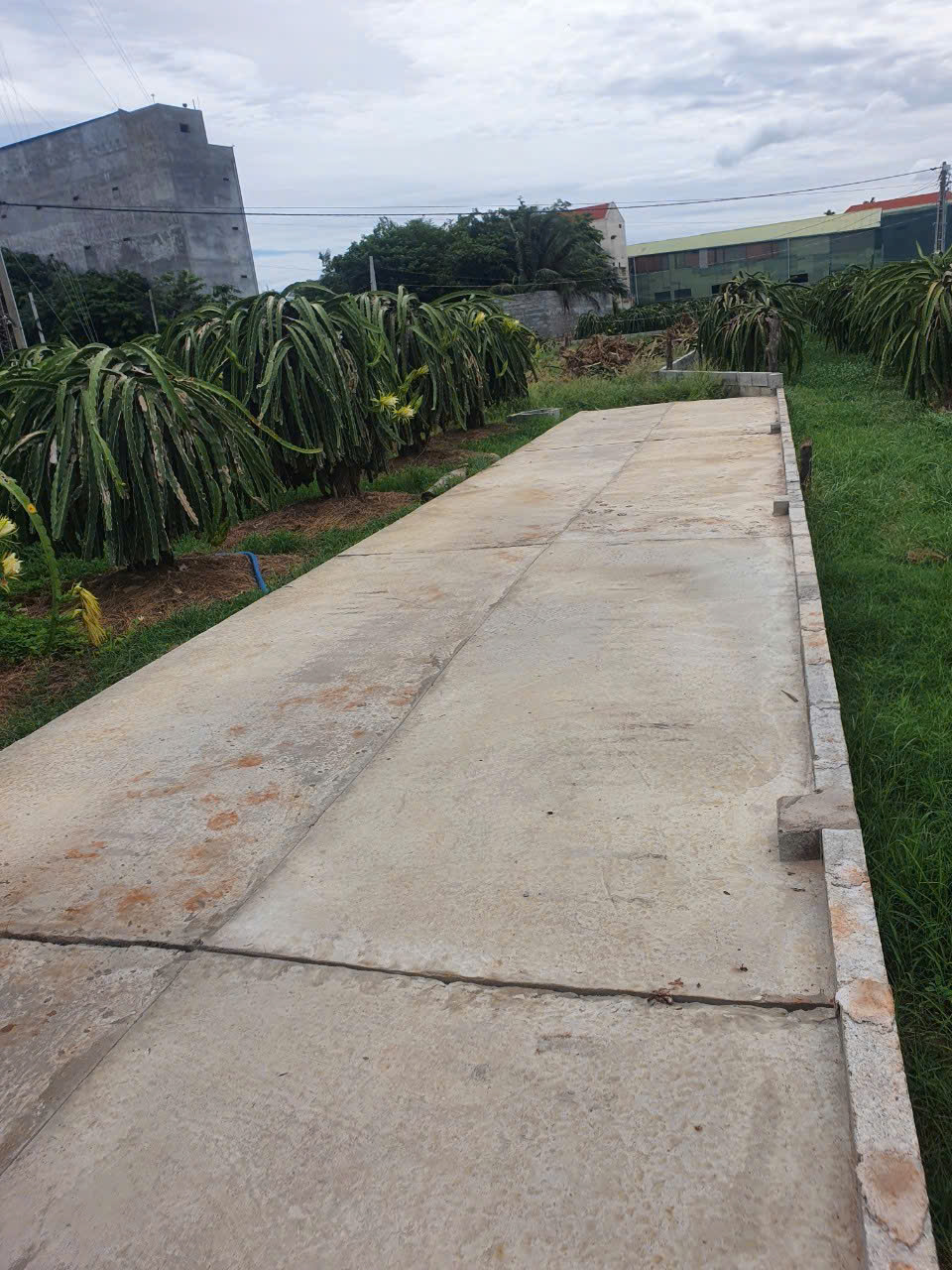 Ông a kẹt tiền , cần bán gấp lô đất ctln mặt tiền đường bê tông khu vực Hàm Kiệm 1 - Ảnh chính