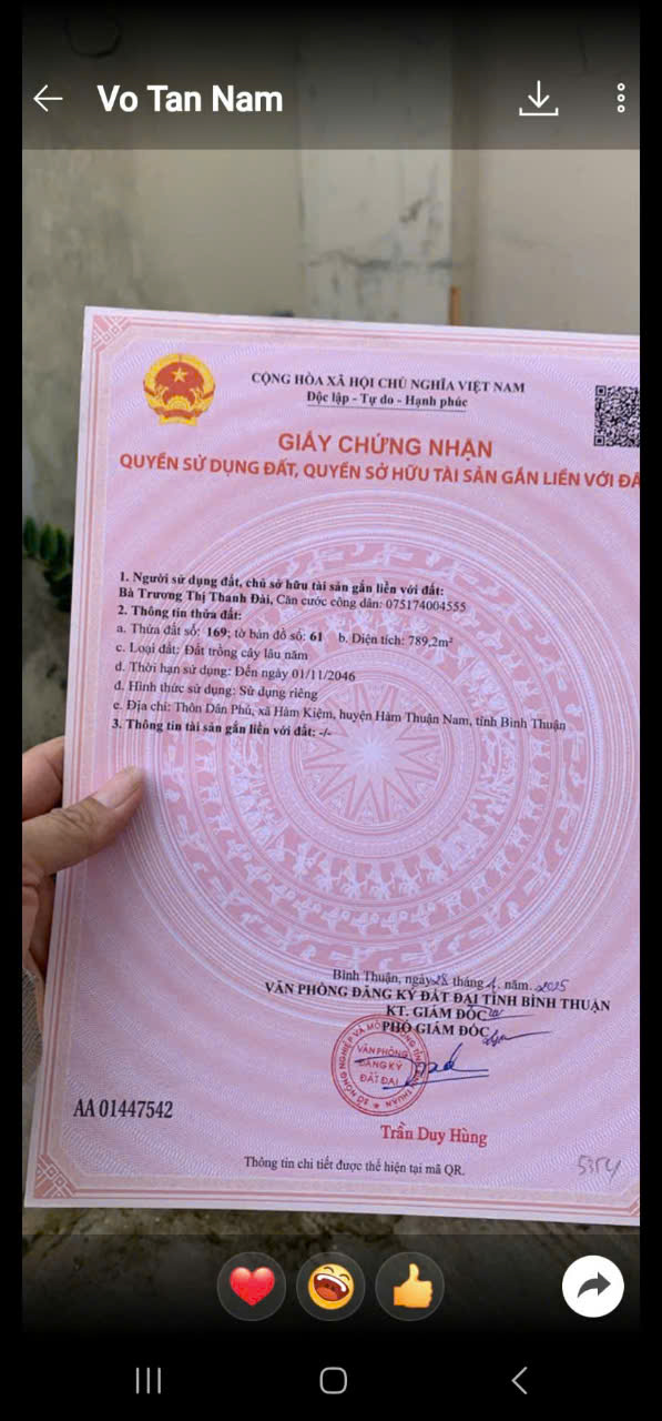 Ông a kẹt tiền , cần bán gấp lô đất ctln mặt tiền đường bê tông khu vực Hàm Kiệm 1 - Ảnh 2