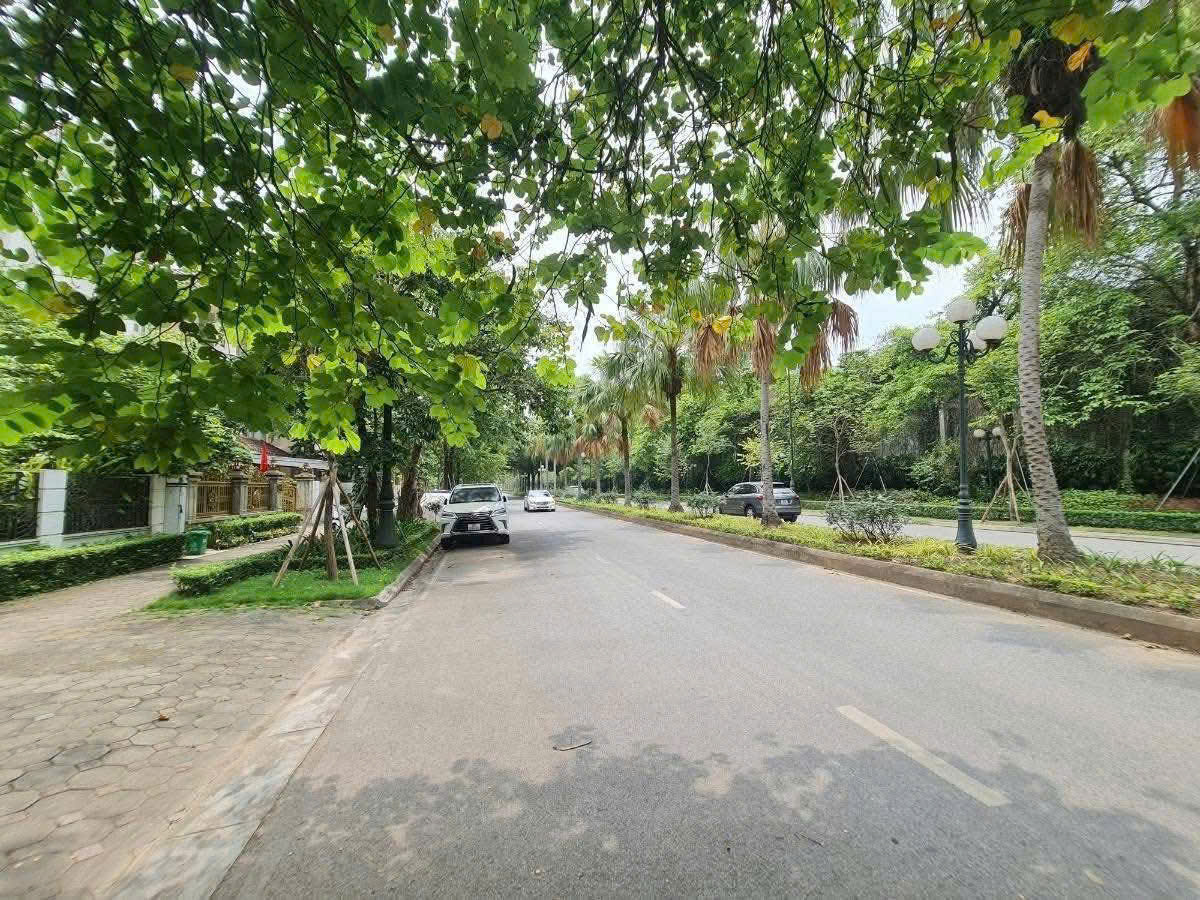 BÁN BIỆT THỰ KHU T CIPUTRA – 230m² – Mặt Tiền 10M – GIÁ 65 TỶ – SỔ ĐỎ CHÍNH CHỦ - Ảnh chính