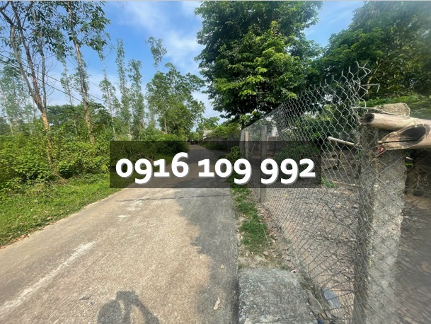 ⭐Chính chủ bán ô đất hơn 1700m2 (đã tách 2 bìa) thuộc xã Vạn Xuân, Phú Thọ - 0916109992 - Ảnh chính