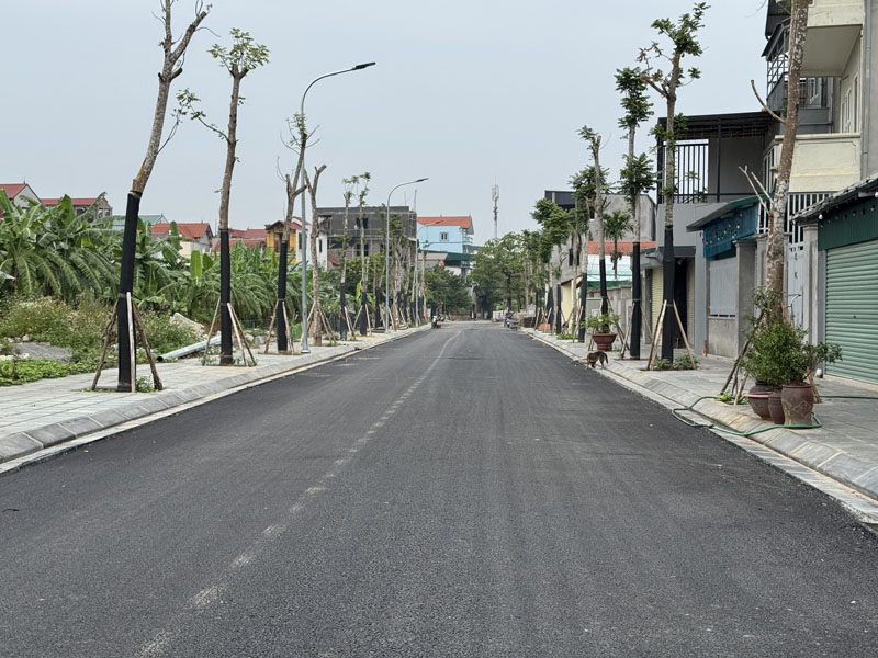 Cần bán 114,5m2 đất mặt phố 729 Bát Khối. Đường 13,5m, gần đầu đường 379 Ecopark và cầu Thanh Trì - Ảnh 1