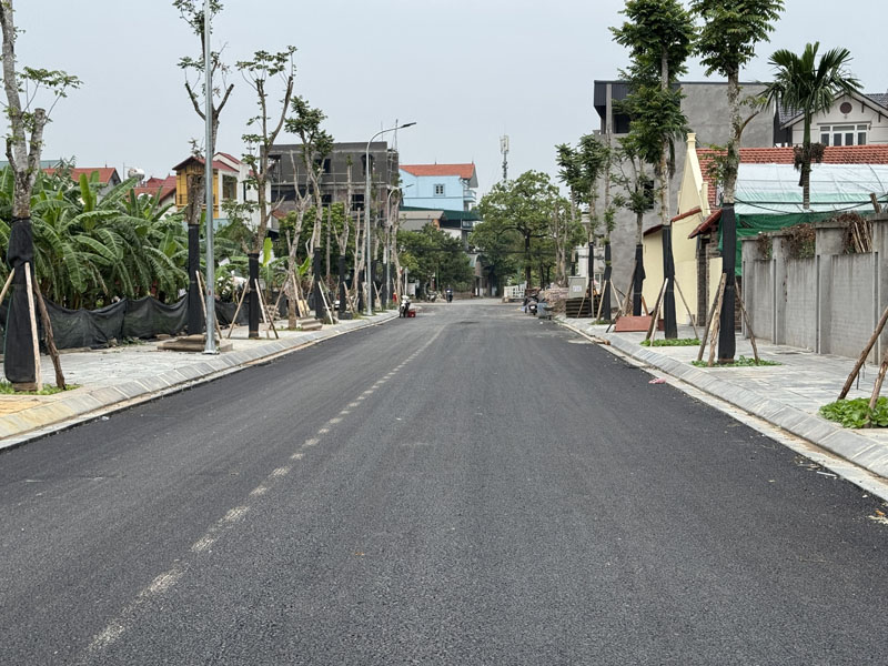 Cần bán 114,5m2 đất mặt phố 729 Bát Khối. Đường 13,5m, gần đầu đường 379 Ecopark và cầu Thanh Trì - Ảnh 2