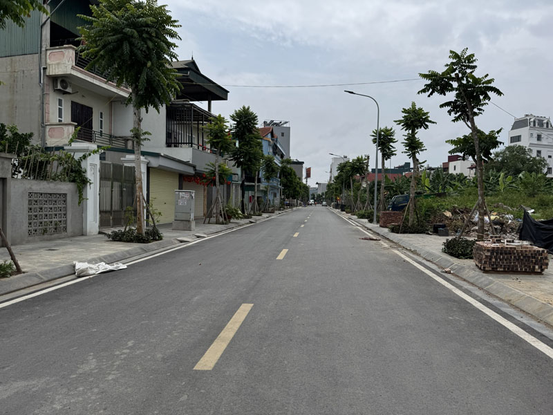 Cần bán 114,5m2 đất mặt phố 729 Bát Khối. Đường 13,5m, gần đầu đường 379 Ecopark và cầu Thanh Trì - Ảnh 3