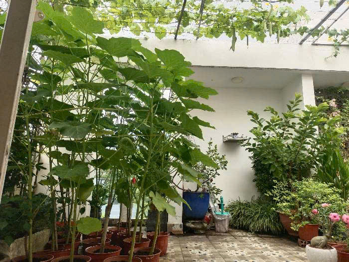NHÀ ĐẸP - TRƯỜNG THỌ THỦ ĐỨC - 54M² - GIÁ 7 TỶ 9 - Ảnh 3
