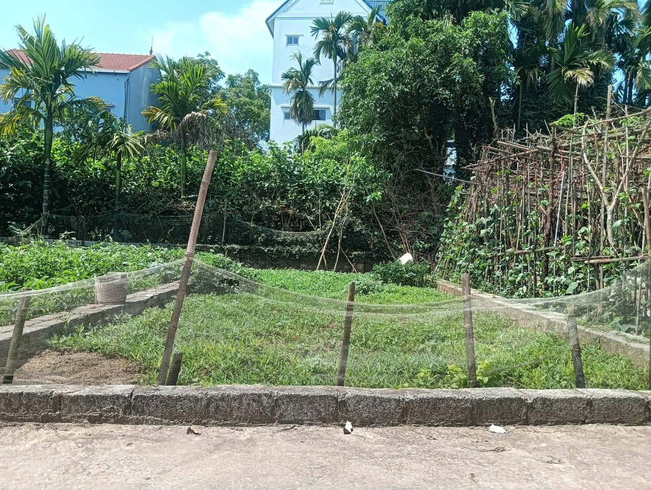 Bán đất Kim Thư, Thanh Oai - 45m2, đường ô tô 7 chỗ, tiện ích đầy đủ, giá chỉ 2,4 tỷ! - Ảnh chính
