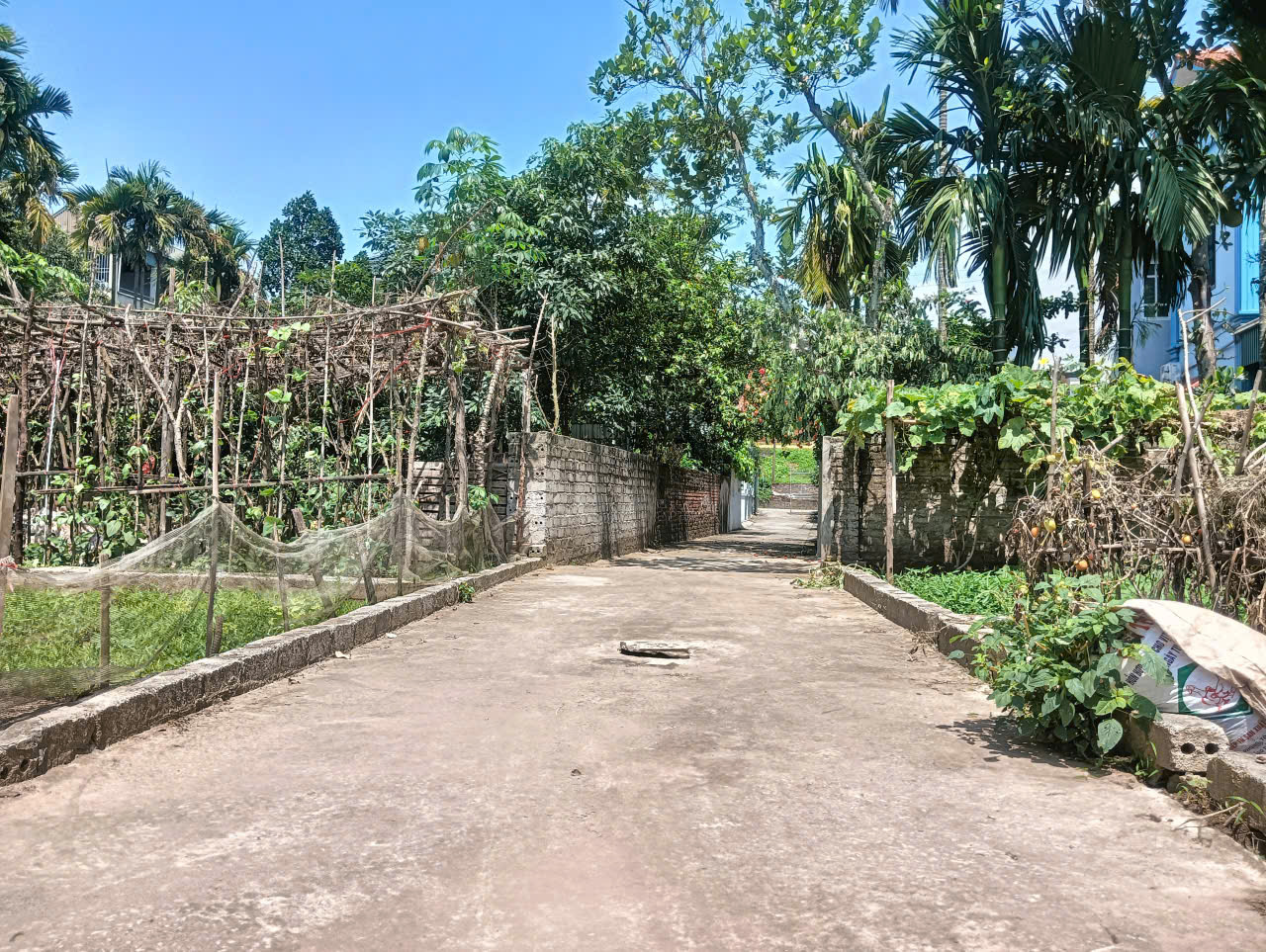 Bán đất Kim Thư, Thanh Oai - 45m2, đường ô tô 7 chỗ, tiện ích đầy đủ, giá chỉ 2,4 tỷ! - Ảnh 1