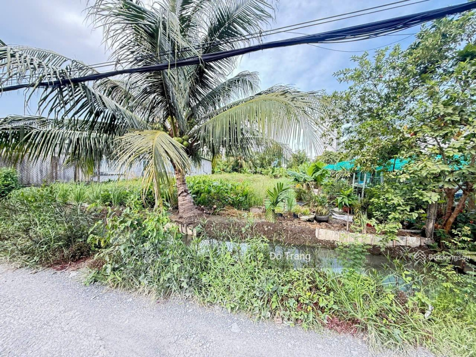 Đất 7.5x27m, 1 sẹc ngắn Thạnh Xuân 33 -  giá cực tốt! Xây Biệt Thự, CHDV, kho xưởng - Ảnh 2
