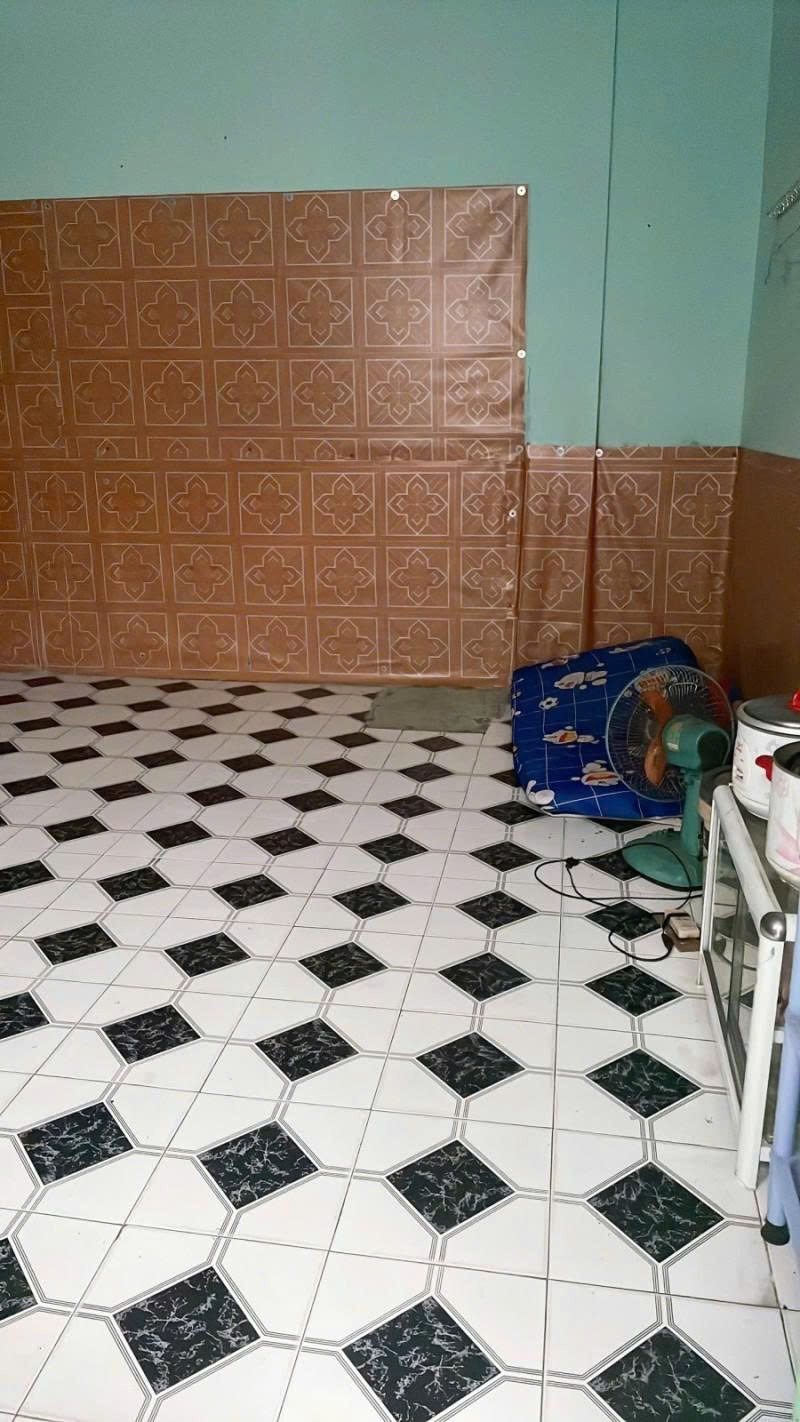 Bán nhà Mặt tiền đường Nguyễn Sáng - Lê Trọng Tấn, 6x13m, Cấp 4 - tiện xây, 7,5 tỷ - Ảnh 3